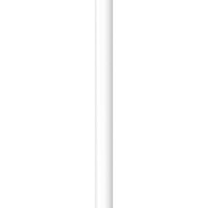 Apple Pencil 1st generation with lightening connector